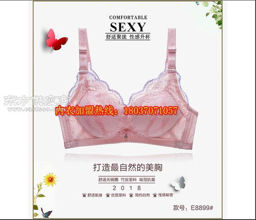 商丘内衣厂家图片
