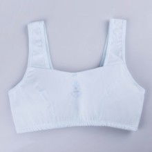 丹阳市皇塘镇依玲内衣厂 供应产品
