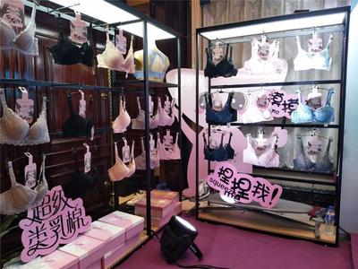优秀内衣品牌争艳|内衣视界财智峰会 云南站 品牌展示