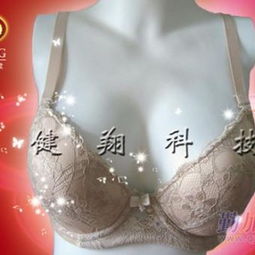 保健磁疗文胸招商佳品磁疗文胸百分百保健用品供应商 天津托玛琳远红外磁疗保健内衣厂