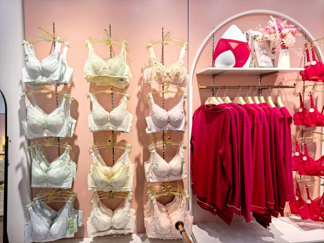 芭妮雅植物内衣 全品类 + 高盈利，开启创业新方向