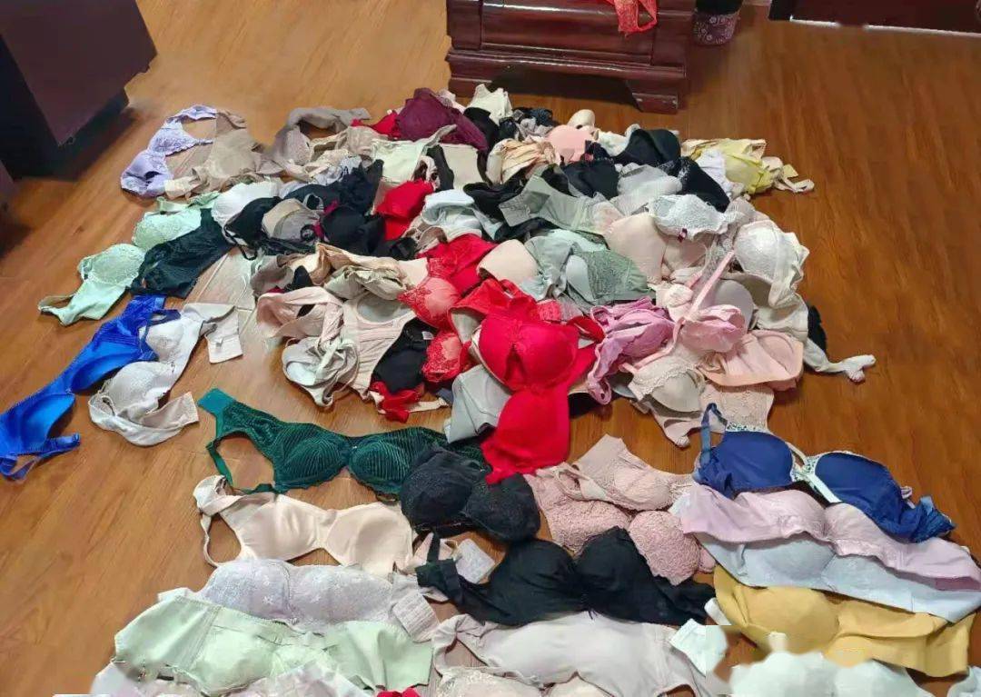 蜀山公安再立新功，萧山“内衣大盗”终落网